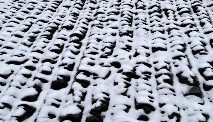 中央气象台今早继续发布暴雪蓝色预警 黑吉辽三省将有暴雪