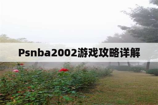 Psnba2002游戏攻略详解