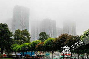 阴雨天气持续这个春天有点冷 今日重庆最低气温2 