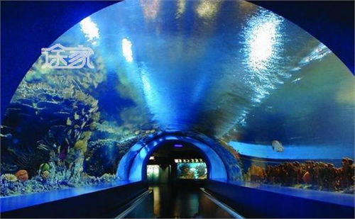 北京海底世界门票多少钱 北京海底世界有哪些