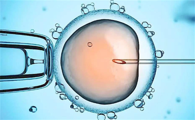 试管胚胎移植后禁忌有哪些  什么是试管胚胎移植