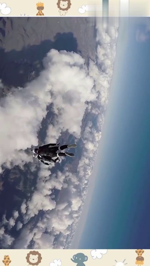 非常唯美的高空跳伞,虽然很害怕,但是看完很想尝试 