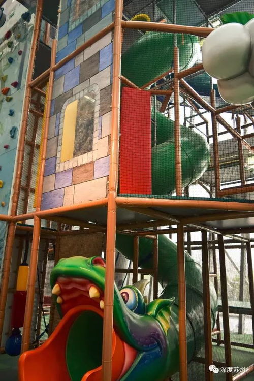 苏州这家来自欧美的顶级室内儿童游乐场,现在可以免费玩了 