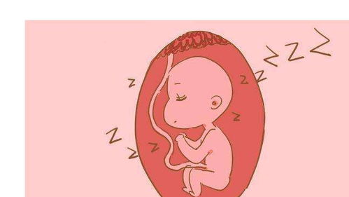 梦见肚子里有胎儿在动(梦见肚子里有胎儿在动快生了)