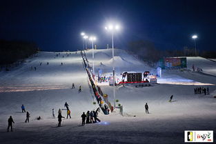 沈阳怪坡滑雪场团购 沈阳怪坡滑雪场门票多少钱