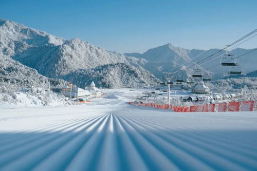 西岭雪山滑雪场价格表2022(西岭雪山滑雪场价格表2022年8月)