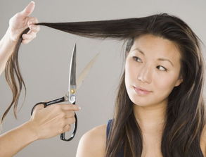 女人梦见剪头发去一截(女人梦到剪头发剪了一半)