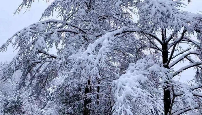 东北新一轮雨雪又要来了 北方多地或将被速冻