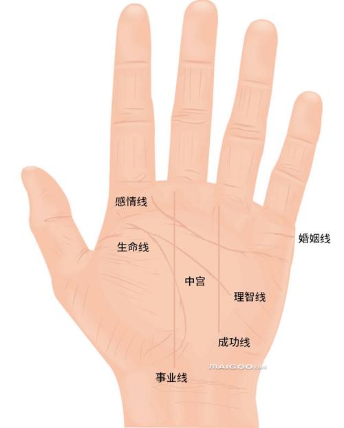看手掌纹算命科学吗 一张图看懂自己的手纹