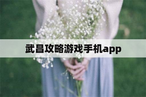 武昌攻略游戏手机app