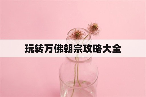 玩转万佛朝宗攻略大全