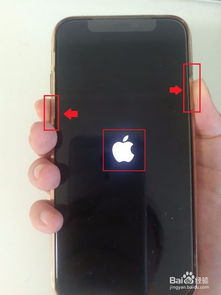 iPhone苹果手机突然黑屏开不了机怎么解决 