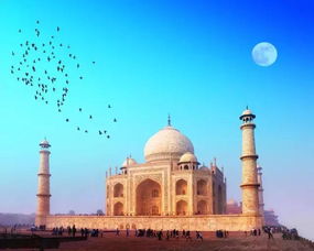印度旅游去哪好 印度旅游最值得去的地方