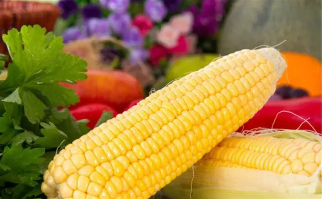 分享玉米5种好吃又简单的家常做法 营养美味 家人都爱吃