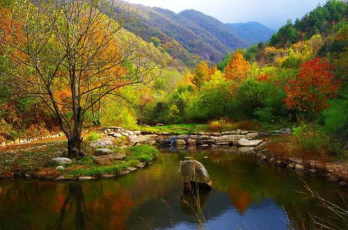 西安周边一处山清水秀天然氧吧的好去处,一幅色彩绚丽的秋意美景