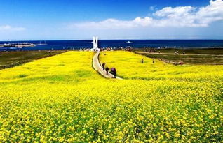 青海湖 青海湖游记攻略 