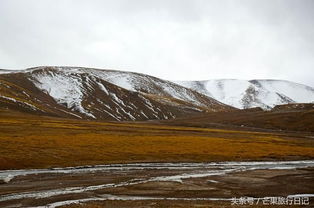 青藏线哪里海拔低适合休息(青藏线上海拔低的地方)