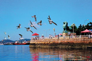 大连旅顺 老虎滩海洋公园纯玩四日游 棒棰岛 东海公园 白玉山 潜艇模拟巡航