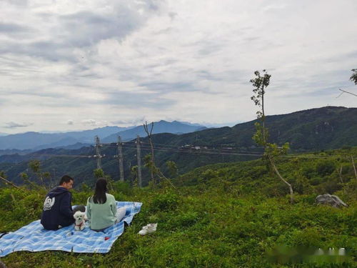 探访京西 神山 可以开车上山顶 可以露营过夜