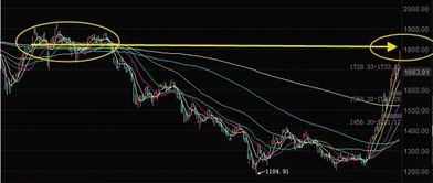 1.1万亿 踏空比套牢还难受 下一个风口在哪