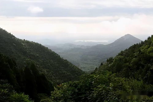 五一去哪玩 京郊明珠怀柔圣泉山新线路启航 赏花,看演出全都有