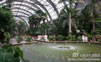 天津热带植物观光园屋面设计(天津北方热带植物观光园)