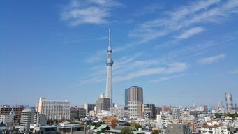 日本私人导游让您体验不一样的日本之旅 