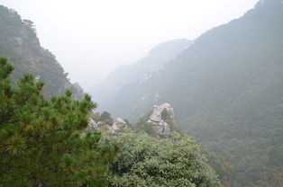 庐山全新线路二日游 提供二天游完所有重要自然景点的最佳线路