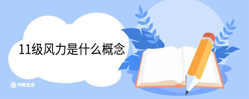 11级风力是什么概念