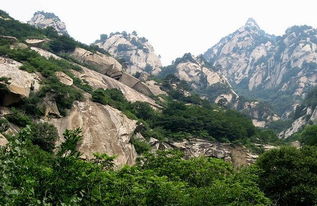 北京十渡花果山景区 门票