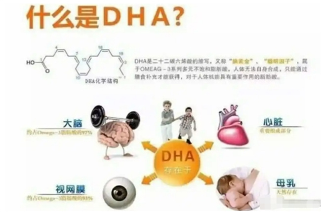 17岁以下的人适合补充DHA吗 DHA有哪些功效