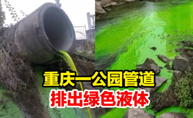 ​重庆一公园管道排出不明液体将溪水染成荧光绿  不明液体是什么