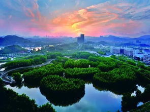 惠州新增打卡圣地 红树林湿地公园