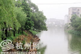 朱家角有几条河(朱家角有几条河道)