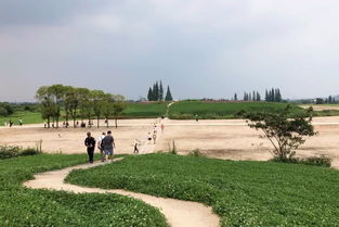 良渚古城遗址公园开放预约参观,想知道的都在这里 