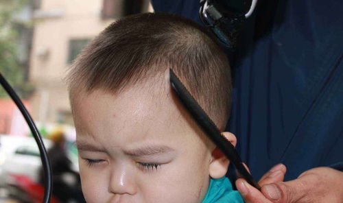亲爸给儿子剃 地中海 发型,网友 这不是年轻版谢广坤吗