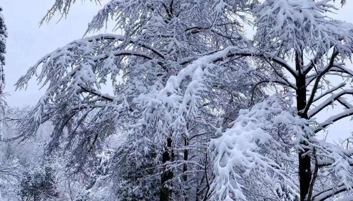 安徽今天将有大到暴雪 合肥最低气温-7℃
