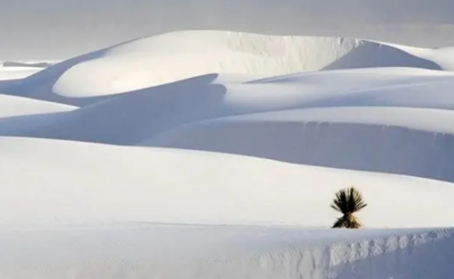 ​白色沙漠是如何形成的原因 有白色沙漠之称的是哪儿