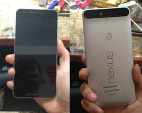 华为Nexus 6P渲染图曝光 双面出镜
