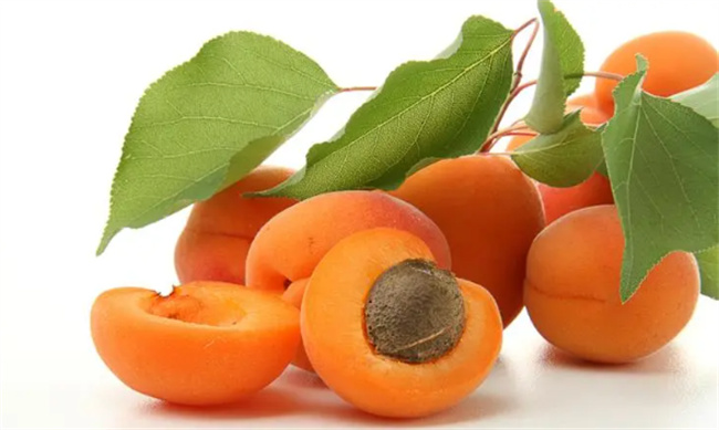 杏子的功效与作用 黄桃和杏子有什么关系