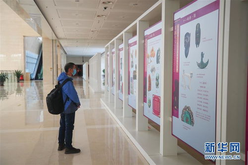 辽宁省博物馆恢复对外开放 图片频道 
