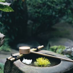 女人梦见井水溢出往外流(女人梦见井水溢出往外流上面飘着韭菜)