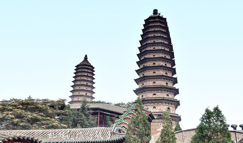 太原这座寺庙 有中国唯一明代牡丹 400年双塔被誉为 晋阳奇观