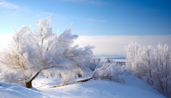 受强冷空气影响吉林今天仍有降雪 长春最高气温仅有-16℃