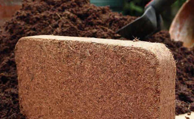 椰砖和营养土怎么混合，比例是怎样的