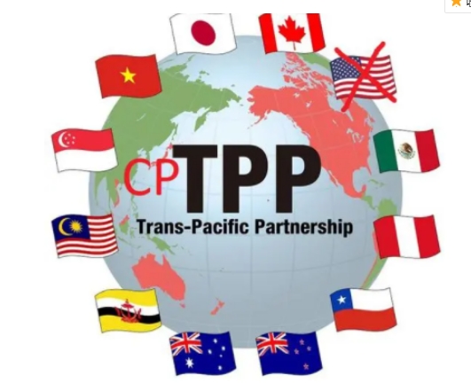 什么是CPTPP组织为什么要加入CPTPP组织