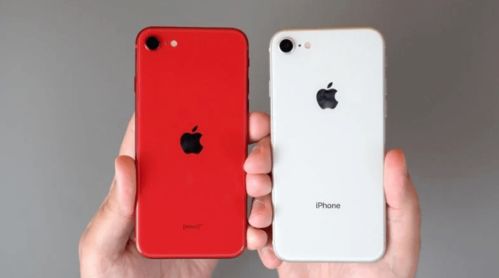苹果将推出新平价版iPhone SE,iPhone 12大量量产时间约在年末