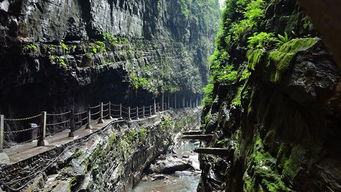 重庆金刀峡景区门票预订 重庆金刀峡景区门票价格 重庆金刀峡景区门票多少钱 
