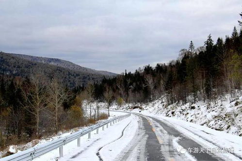 冬季必去最美自驾路线东北亚雪公路,被称为中国最梦幻自驾公路 