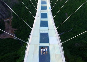 关于九龙大峡谷玻璃桥的信息